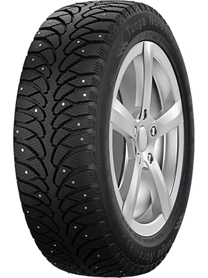 Шина Tunga Nordway 2 175/70 R13 82Q